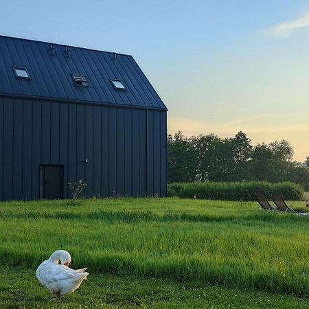 Apartamenty Boczna 3B Z Sauna I Balia Kudowa-Zdrój Kültér fotó